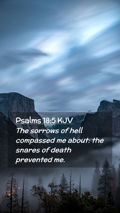 Picture 02 - Psalms 18:5 KJV Mobile Phone Wallpaper - The sorrows of hell compassed me about: the - Mobile Bible Verse Wallpaper