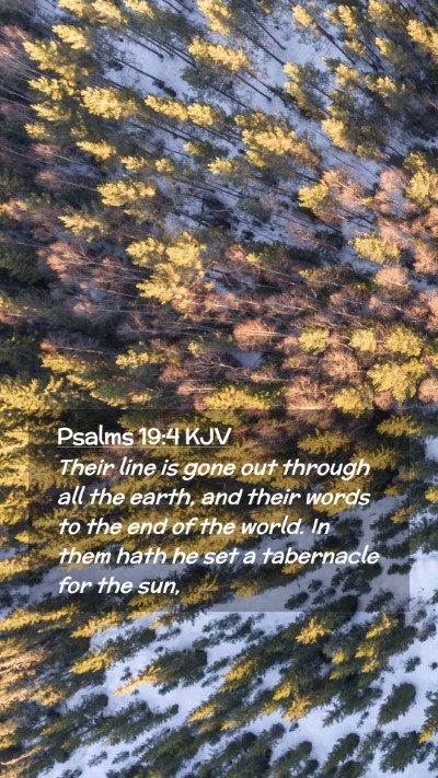 Picture 02 - Psalms 19:4 KJV Mobile Phone Wallpaper - Their line is gone out through all the earth, and - Mobile Bible Verse Wallpaper