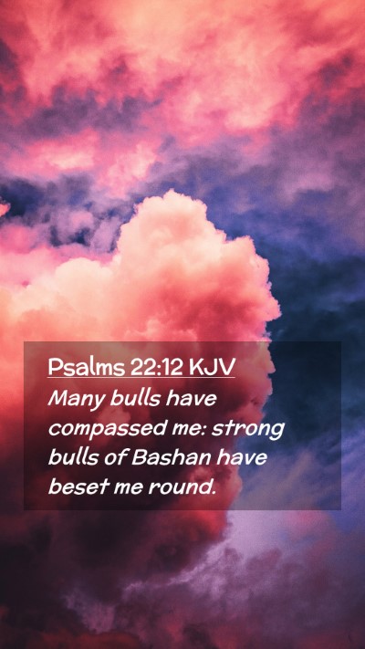 Picture 02 - Psalms 22:12 KJV Mobile Phone Wallpaper - Many bulls have compassed me: strong bulls of - Mobile Bible Verse Wallpaper