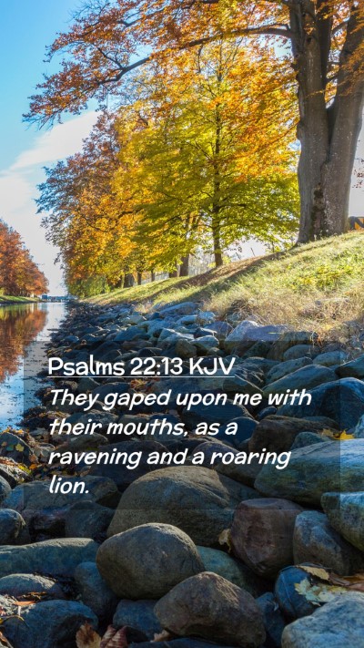 Picture 02 - Psalms 22:13 KJV Mobile Phone Wallpaper - They gaped upon me with their mouths, as a - Mobile Bible Verse Wallpaper