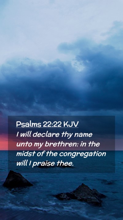 Picture 02 - Psalms 22:22 KJV Mobile Phone Wallpaper - I will declare thy name unto my brethren: in the - Mobile Bible Verse Wallpaper