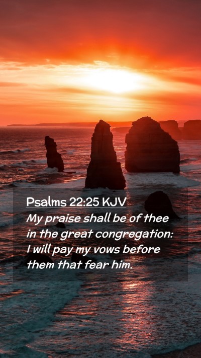 Picture 02 - Psalms 22:25 KJV Mobile Phone Wallpaper - My praise shall be of thee in the great - Mobile Bible Verse Wallpaper