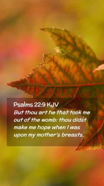 Picture 02 - Psalms 22:9 KJV Mobile Phone Wallpaper - But thou art he that took me out of the womb: - Mobile Bible Verse Wallpaper