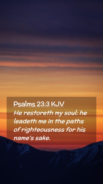 Picture 02 - Psalms 23:3 KJV Mobile Phone Wallpaper - He restoreth my soul: he leadeth me in the paths - Mobile Bible Verse Wallpaper