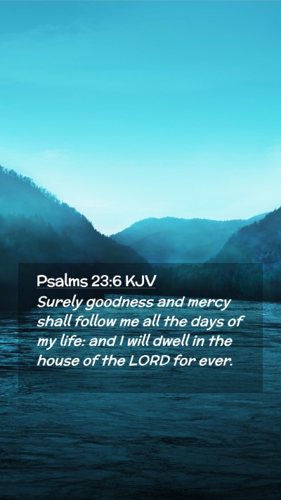 Picture 02 - Psalms 23:6 KJV Mobile Phone Wallpaper - Surely goodness and mercy shall follow me all the - Mobile Bible Verse Wallpaper