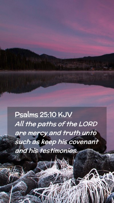 Picture 02 - Psalms 25:10 KJV Mobile Phone Wallpaper - All the paths of the LORD are mercy and truth - Mobile Bible Verse Wallpaper