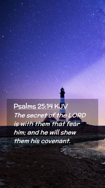 Picture 02 - Psalms 25:14 KJV Mobile Phone Wallpaper - The secret of the LORD is with them that fear - Mobile Bible Verse Wallpaper