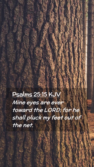 Picture 02 - Psalms 25:15 KJV Mobile Phone Wallpaper - Mine eyes are ever toward the LORD; for he shall - Mobile Bible Verse Wallpaper
