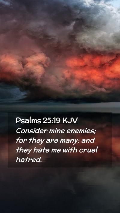 Picture 02 - Psalms 25:19 KJV Mobile Phone Wallpaper - Consider mine enemies; for they are many; and - Mobile Bible Verse Wallpaper