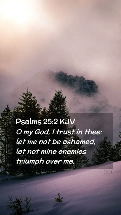 Picture 02 - Psalms 25:2 KJV Mobile Phone Wallpaper - O my God, I trust in thee: let me not be ashamed, - Mobile Bible Verse Wallpaper