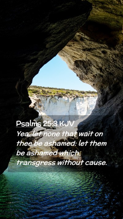 Picture 02 - Psalms 25:3 KJV Mobile Phone Wallpaper - Yea, let none that wait on thee be ashamed: let - Mobile Bible Verse Wallpaper