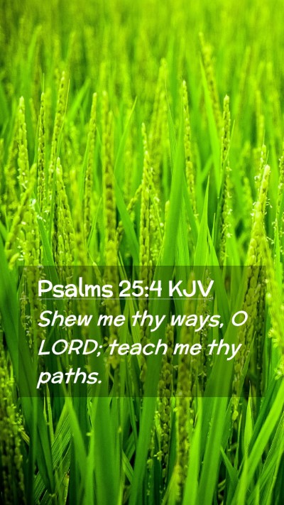 Picture 02 - Psalms 25:4 KJV Mobile Phone Wallpaper - Shew me thy ways, O LORD; teach me thy - Mobile Bible Verse Wallpaper