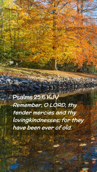 Picture 02 - Psalms 25:6 KJV Mobile Phone Wallpaper - Remember, O LORD, thy tender mercies and thy - Mobile Bible Verse Wallpaper