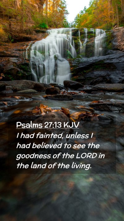 Picture 02 - Psalms 27:13 KJV Mobile Phone Wallpaper - I had fainted, unless I had believed to see the - Mobile Bible Verse Wallpaper