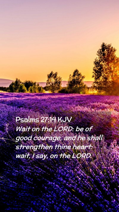 Picture 02 - Psalms 27:14 KJV Mobile Phone Wallpaper - Wait on the LORD: be of good courage, and he - Mobile Bible Verse Wallpaper