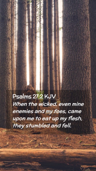 Picture 02 - Psalms 27:2 KJV Mobile Phone Wallpaper - When the wicked, even mine enemies and my foes, - Mobile Bible Verse Wallpaper