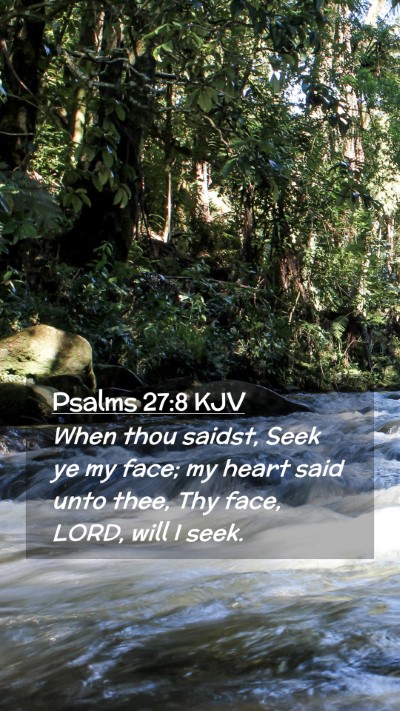 Picture 02 - Psalms 27:8 KJV Mobile Phone Wallpaper - When thou saidst, Seek ye my face; my heart said - Mobile Bible Verse Wallpaper
