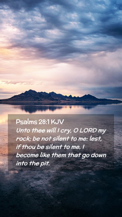 Picture 02 - Psalms 28:1 KJV Mobile Phone Wallpaper - Unto thee will I cry, O LORD my rock; be not - Mobile Bible Verse Wallpaper