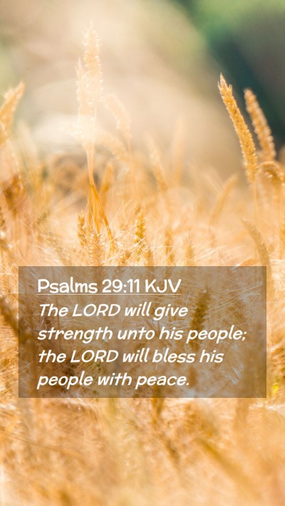 Picture 02 - Psalms 29:11 KJV Mobile Phone Wallpaper - The LORD will give strength unto his people; the - Mobile Bible Verse Wallpaper
