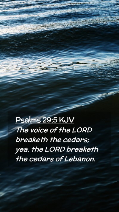 Picture 02 - Psalms 29:5 KJV Mobile Phone Wallpaper - The voice of the LORD breaketh the cedars; yea, - Mobile Bible Verse Wallpaper