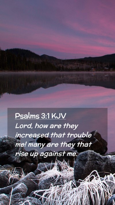 Picture 02 - Psalms 3:1 KJV Mobile Phone Wallpaper - Lord, how are they increased that trouble me! - Mobile Bible Verse Wallpaper
