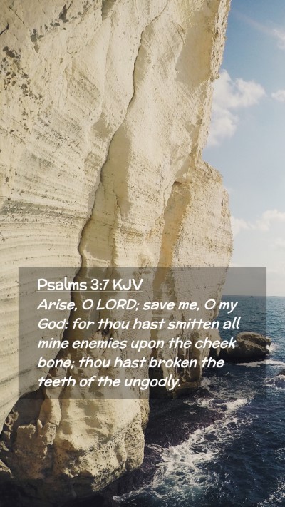 Picture 02 - Psalms 3:7 KJV Mobile Phone Wallpaper - Arise, O LORD; save me, O my God: for thou hast - Mobile Bible Verse Wallpaper