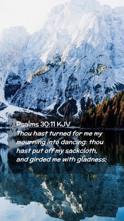 Picture 02 - Psalms 30:11 KJV Mobile Phone Wallpaper - Thou hast turned for me my mourning into dancing: - Mobile Bible Verse Wallpaper
