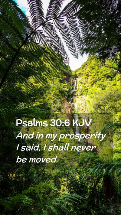 Picture 02 - Psalms 30:6 KJV Mobile Phone Wallpaper - And in my prosperity I said, I shall never be - Mobile Bible Verse Wallpaper