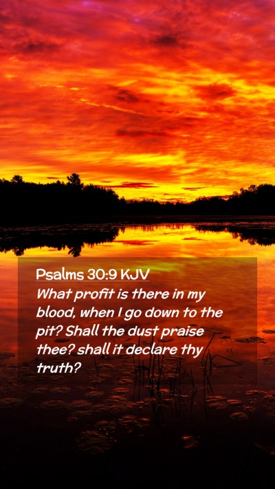 Picture 02 - Psalms 30:9 KJV Mobile Phone Wallpaper - What profit is there in my blood, when I go down - Mobile Bible Verse Wallpaper