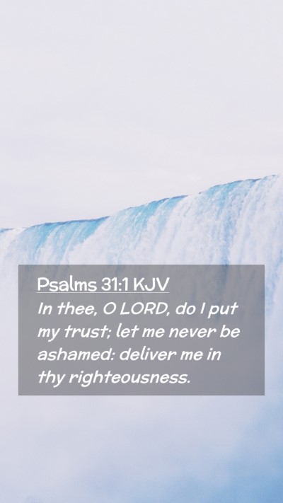Picture 02 - Psalms 31:1 KJV Mobile Phone Wallpaper - In thee, O LORD, do I put my trust; let me never - Mobile Bible Verse Wallpaper