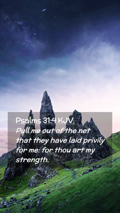 Picture 02 - Psalms 31:4 KJV Mobile Phone Wallpaper - Pull me out of the net that they have laid - Mobile Bible Verse Wallpaper