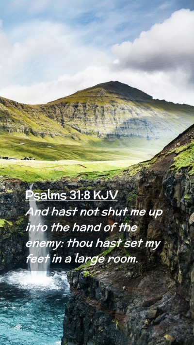 Picture 02 - Psalms 31:8 KJV Mobile Phone Wallpaper - And hast not shut me up into the hand of the - Mobile Bible Verse Wallpaper