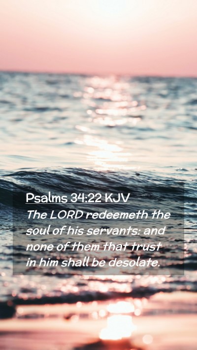 Picture 02 - Psalms 34:22 KJV Mobile Phone Wallpaper - The LORD redeemeth the soul of his servants: and - Mobile Bible Verse Wallpaper