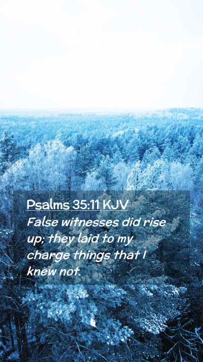 Picture 02 - Psalms 35:11 KJV Mobile Phone Wallpaper - False witnesses did rise up; they laid to my - Mobile Bible Verse Wallpaper