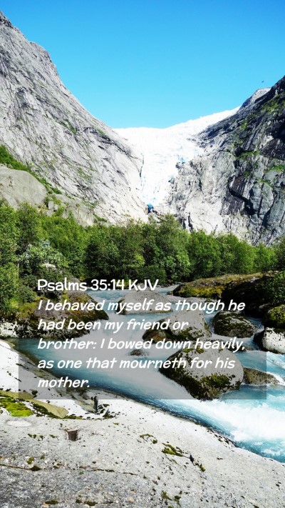 Picture 02 - Psalms 35:14 KJV Mobile Phone Wallpaper - I behaved myself as though he had been my friend - Mobile Bible Verse Wallpaper