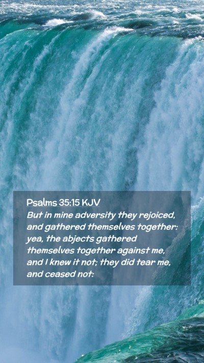 Picture 02 - Psalms 35:15 KJV Mobile Phone Wallpaper - But in mine adversity they rejoiced, and gathered - Mobile Bible Verse Wallpaper