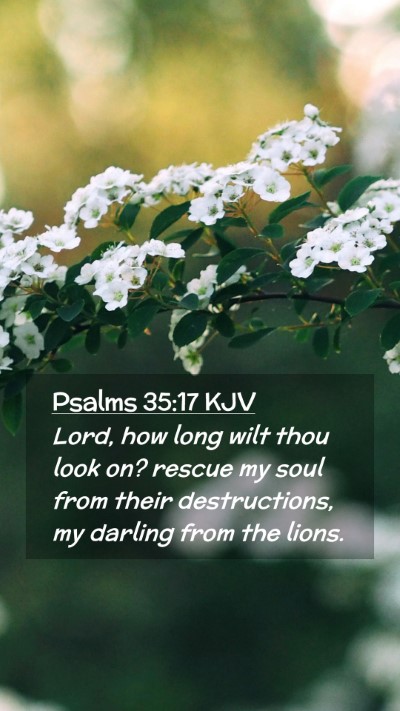 Picture 02 - Psalms 35:17 KJV Mobile Phone Wallpaper - Lord, how long wilt thou look on? rescue my soul - Mobile Bible Verse Wallpaper