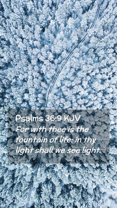 Picture 02 - Psalms 36:9 KJV Mobile Phone Wallpaper - For with thee is the fountain of life: in thy - Mobile Bible Verse Wallpaper