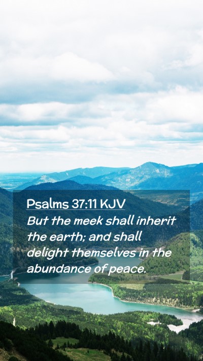 Picture 02 - Psalms 37:11 KJV Mobile Phone Wallpaper - But the meek shall inherit the earth; and shall - Mobile Bible Verse Wallpaper