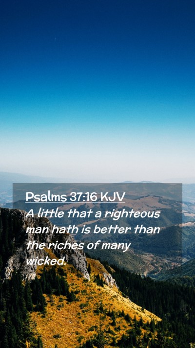 Picture 02 - Psalms 37:16 KJV Mobile Phone Wallpaper - A little that a righteous man hath is better than - Mobile Bible Verse Wallpaper