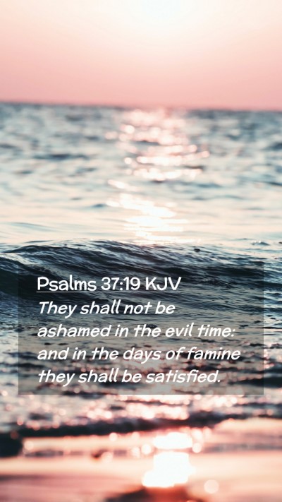 Picture 02 - Psalms 37:19 KJV Mobile Phone Wallpaper - They shall not be ashamed in the evil time: and - Mobile Bible Verse Wallpaper