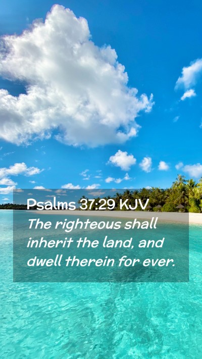 Picture 02 - Psalms 37:29 KJV Mobile Phone Wallpaper - The righteous shall inherit the land, and dwell - Mobile Bible Verse Wallpaper