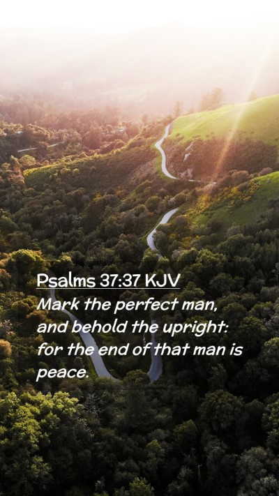 Picture 02 - Psalms 37:37 KJV Mobile Phone Wallpaper - Mark the perfect man, and behold the upright: for - Mobile Bible Verse Wallpaper