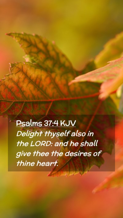 Picture 02 - Psalms 37:4 KJV Mobile Phone Wallpaper - Delight thyself also in the LORD: and he shall - Mobile Bible Verse Wallpaper