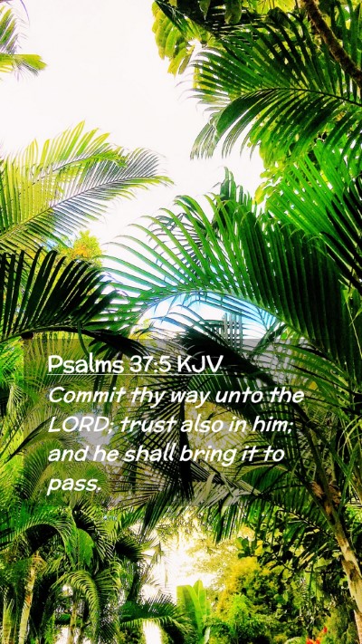 Picture 02 - Psalms 37:5 KJV Mobile Phone Wallpaper - Commit thy way unto the LORD; trust also in him; - Mobile Bible Verse Wallpaper
