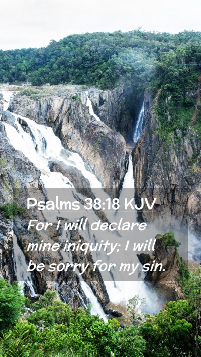 Picture 02 - Psalms 38:18 KJV Mobile Phone Wallpaper - For I will declare mine iniquity; I will be sorry - Mobile Bible Verse Wallpaper