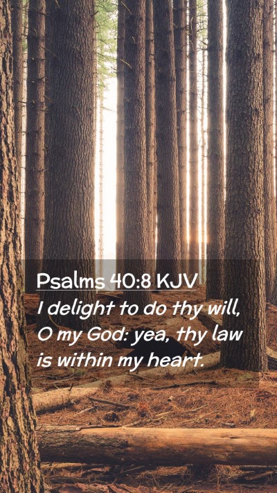Picture 02 - Psalms 40:8 KJV Mobile Phone Wallpaper - I delight to do thy will, O my God: yea, thy law - Mobile Bible Verse Wallpaper