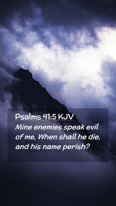 Picture 02 - Psalms 41:5 KJV Mobile Phone Wallpaper - Mine enemies speak evil of me, When shall he die, - Mobile Bible Verse Wallpaper