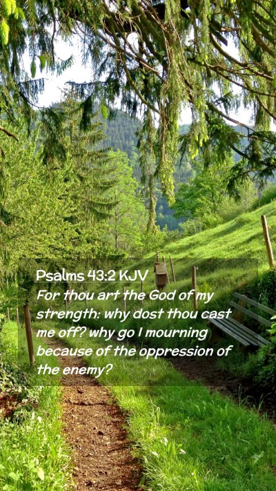 Picture 02 - Psalms 43:2 KJV Mobile Phone Wallpaper - For thou art the God of my strength: why dost - Mobile Bible Verse Wallpaper