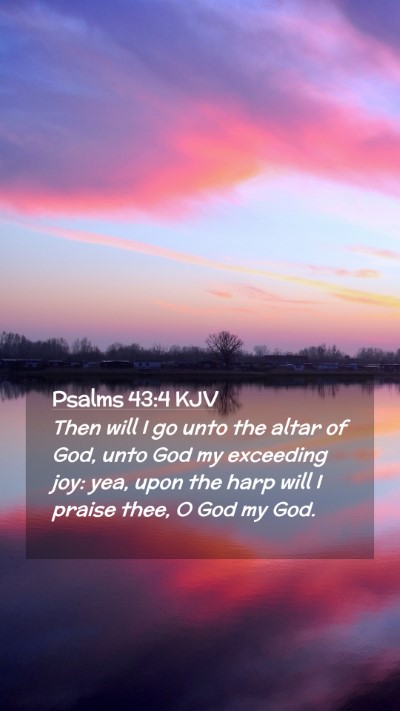 Picture 02 - Psalms 43:4 KJV Mobile Phone Wallpaper - Then will I go unto the altar of God, unto God my - Mobile Bible Verse Wallpaper